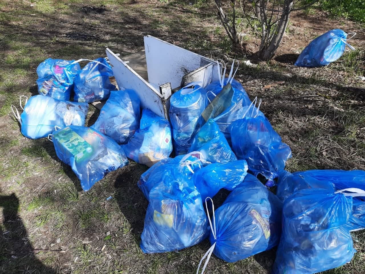 Члены Молодежной палаты собрали 40 мешков мусора на набережной Кожуховского затона 