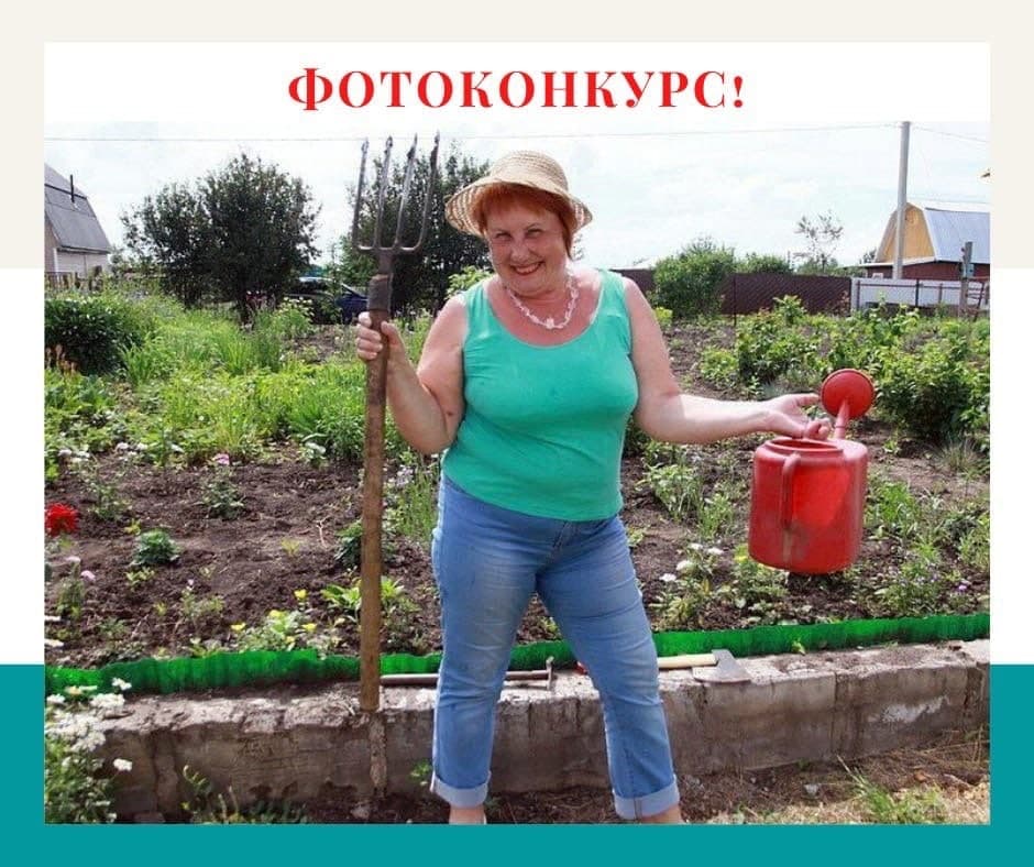 Дача мать. Женщина на грядке. Женщина в огороде. Бабушка в огороде. Пенсионерка на даче.